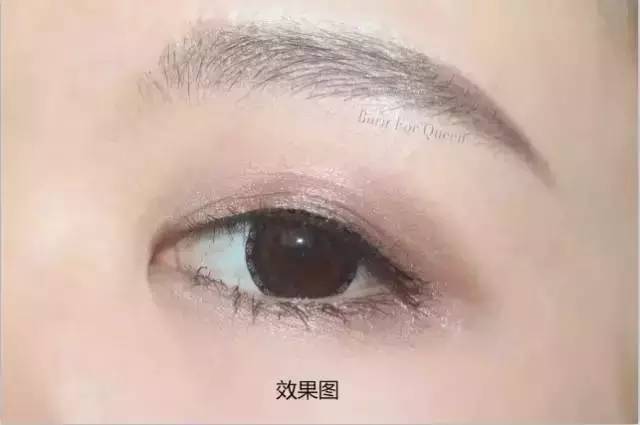 效果图