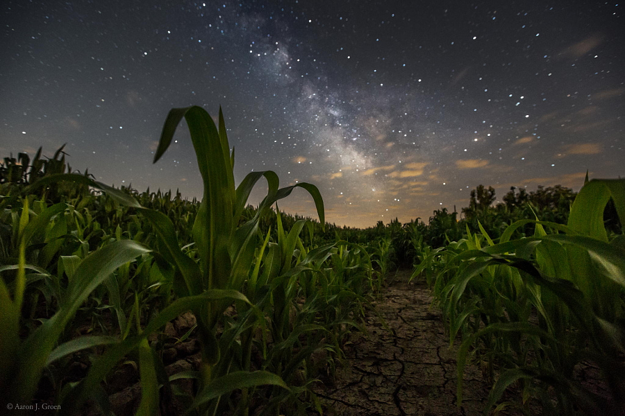 爱荷华州玉米地-摄影师：艾伦·格伦（Aaron Groen）